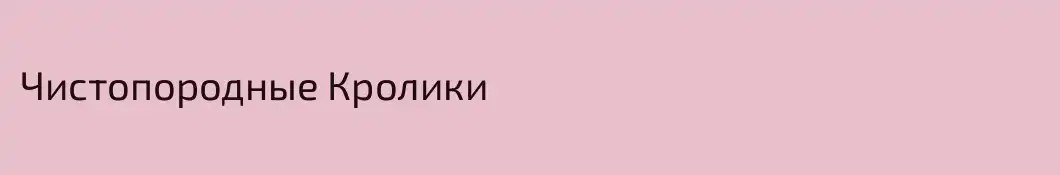 Чистопородные Кролики